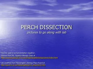 PERCH DISSECTION pictures to go along with lab