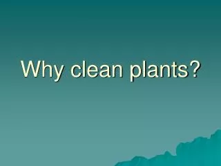 Why clean plants?
