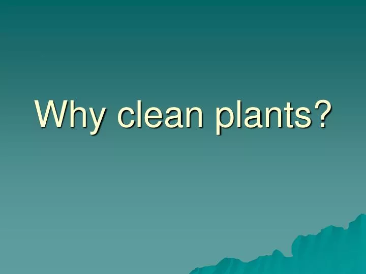 why clean plants