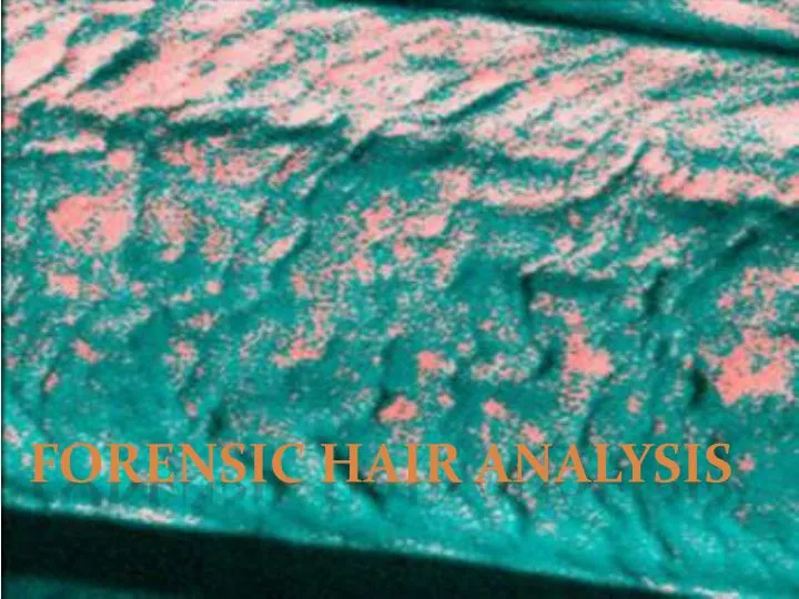 forensic hair analysis