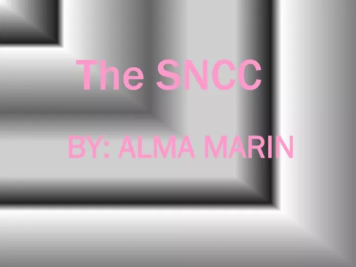 the sncc