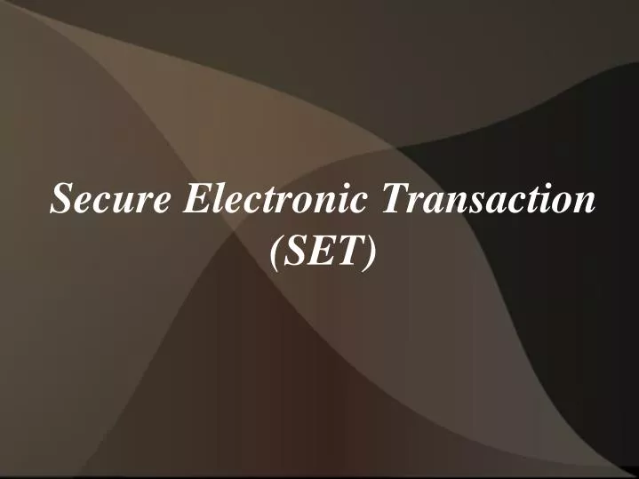 secure electronic transaction set