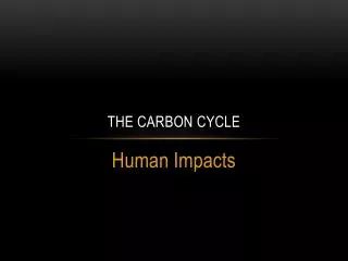 the carbon cycle