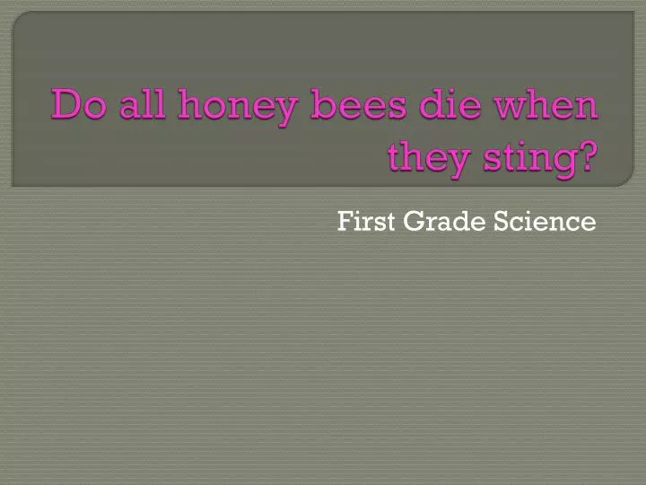 do all honey bees die when they sting