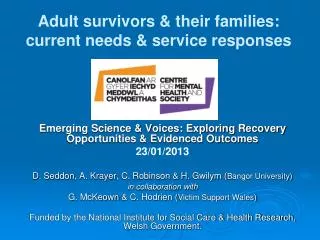 Adult survivors &amp; their families: current needs &amp; service responses