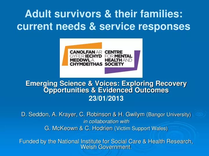 adult survivors their families current needs service responses