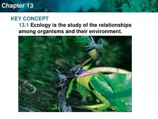 Ecologists study environments at different levels of organization.