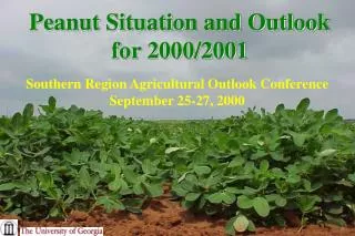 Peanut Situation and Outlook for 2000/2001