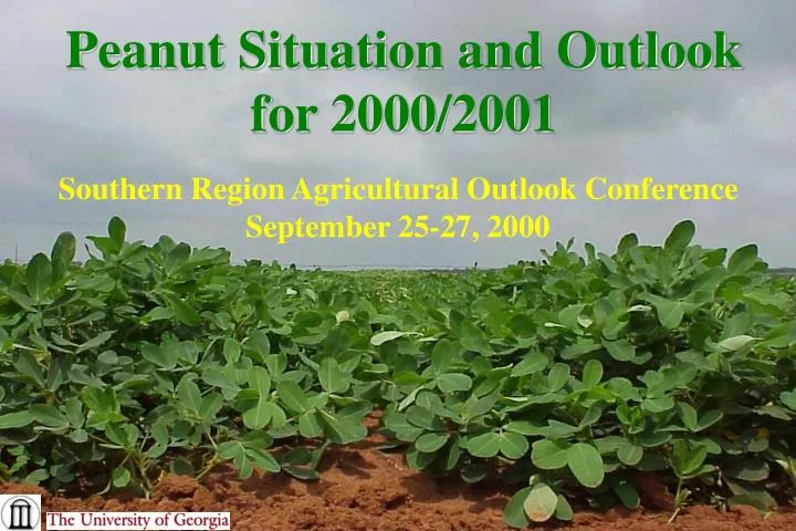 peanut situation and outlook for 2000 2001