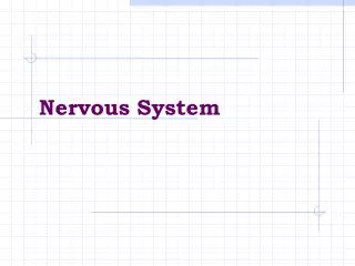 nervous system