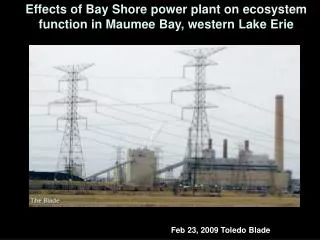 Effects of Bay Shore power plant on ecosystem function in Maumee Bay, western Lake Erie