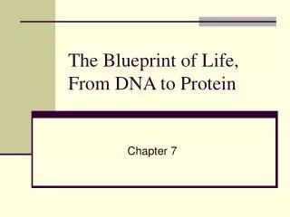 The Blueprint of Life, From DNA to Protein