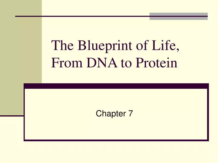 the blueprint of life from dna to protein