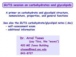 GUTS session on carbohydrates and glycolipids