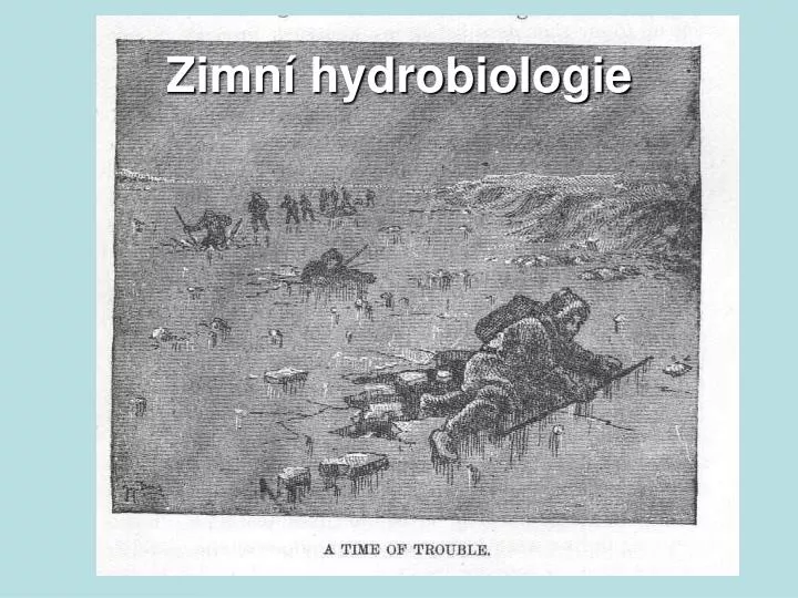 zimn hydrobiologie