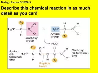 Biology Journal 9/25/2014