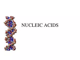 nucleic acids