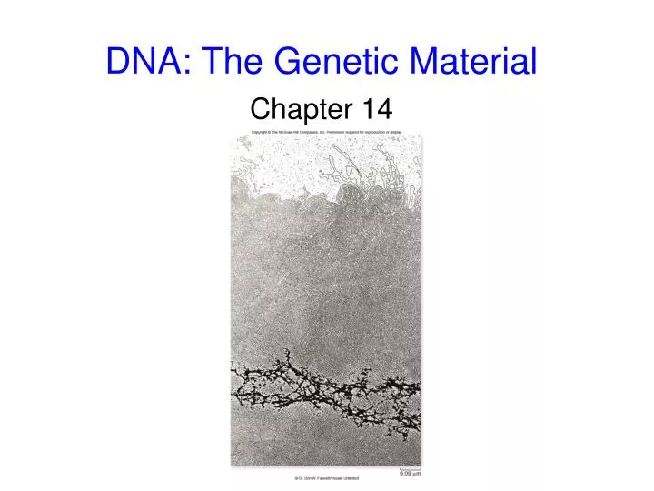 dna the genetic material