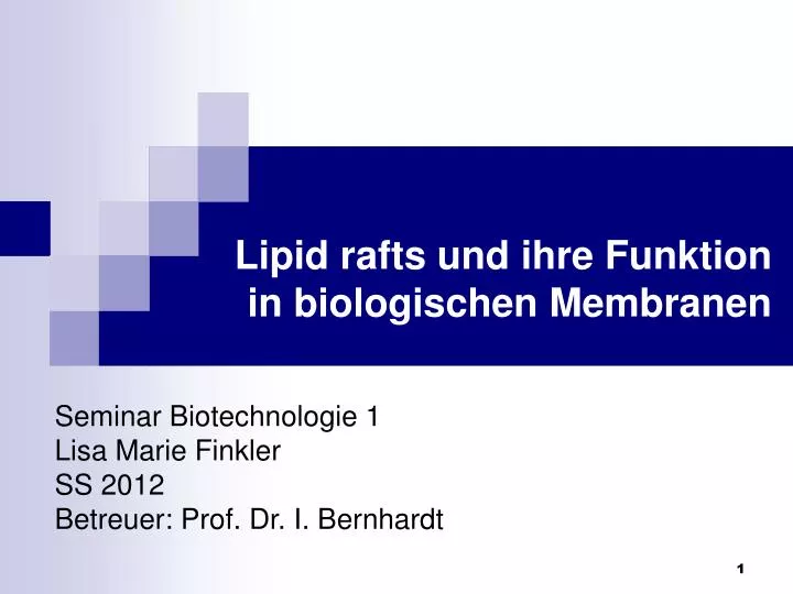 lipid rafts und ihre funktion in biologischen membranen