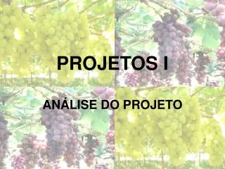 projetos i