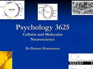 Psychology 3625