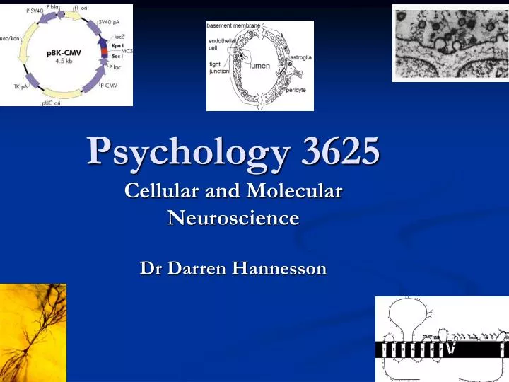 psychology 3625