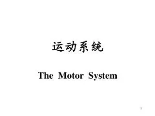 the motor system