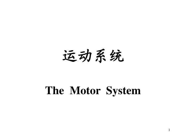 the motor system