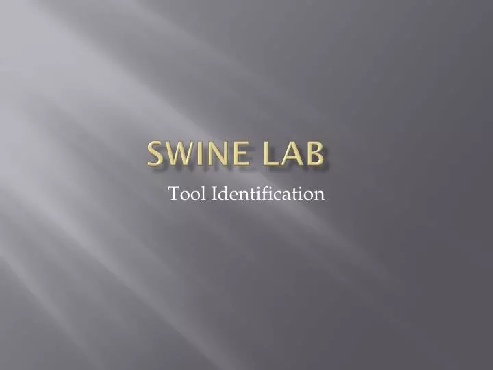 swine lab