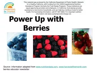 Power Up with Berries