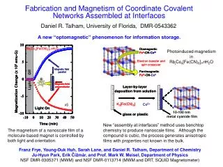 Fabrication and Magnetism of Coordinate Covalent Networks Assembled at Interfaces