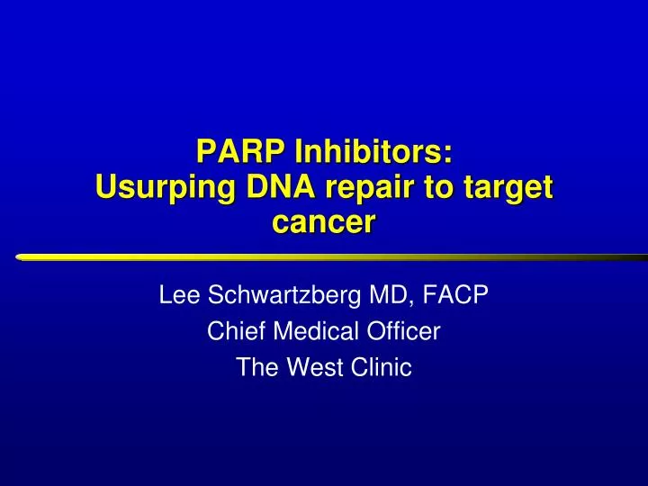 parp inhibitors usurping dna repair to target cancer