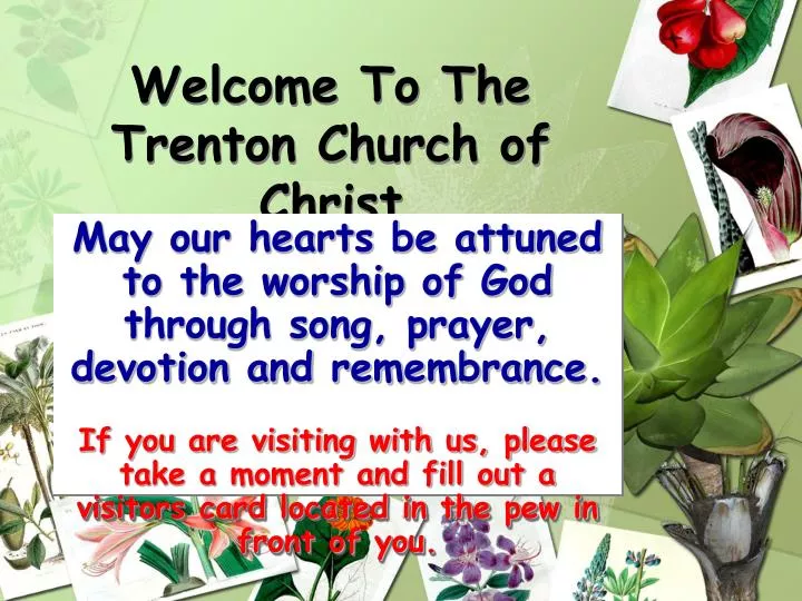 welcome to the trenton church of christ
