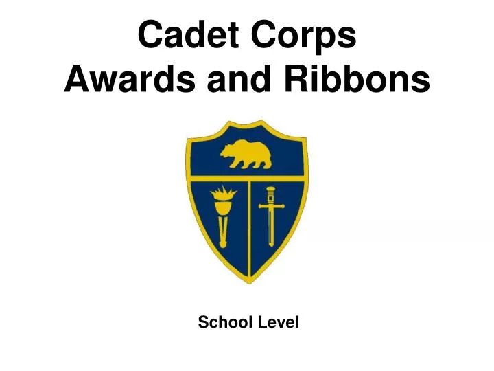 cadet corps awards and ribbons