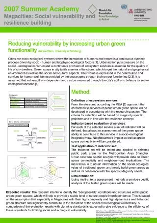 2007 Summer Academy Megacities: Social vulnerability and resilience building