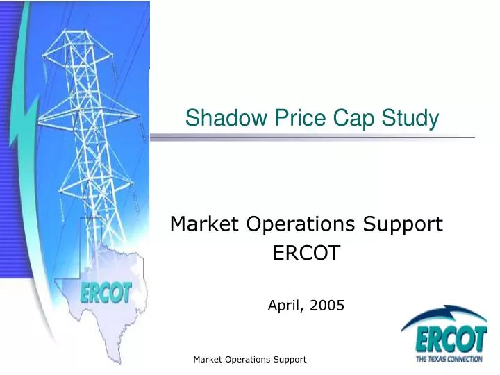 shadow price cap study