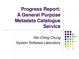 Progress Report: A General Purpose Metadata Catalogue Service