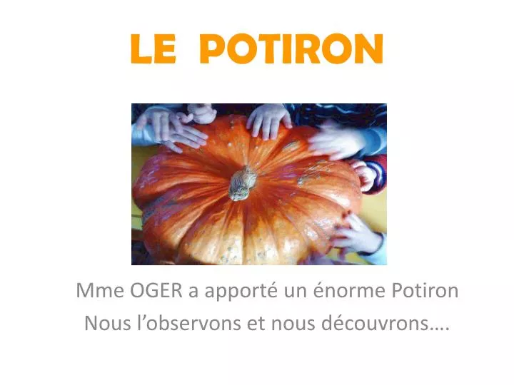 le potiron