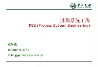pse process system engineering