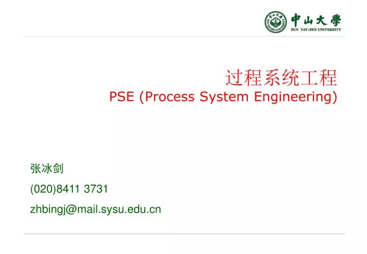 pse process system engineering