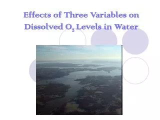 Effects of Three Variables on Dissolved O 2 Levels in Water