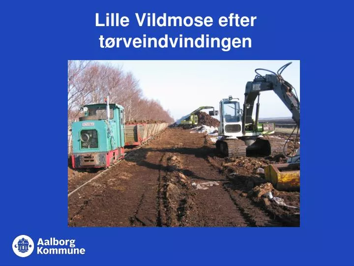 lille vildmose efter t rveindvindingen