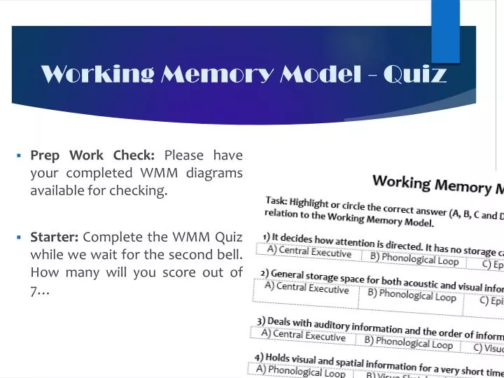 working memory model quiz