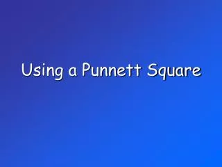Using a Punnett Square