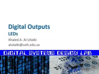 Digital Outputs LEDs