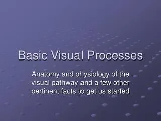 Basic Visual Processes