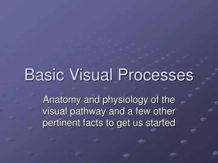 basic visual processes