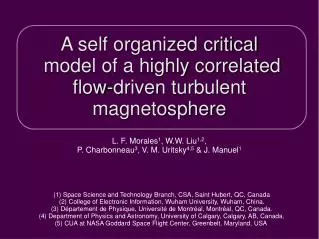A self organized critical model of a highly correlated flow-driven turbulent magnetosphere