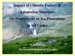 Impact of Climatic Factors &amp; Adaptation Measures On Productivity of Tea Plantations In Sri Lanka