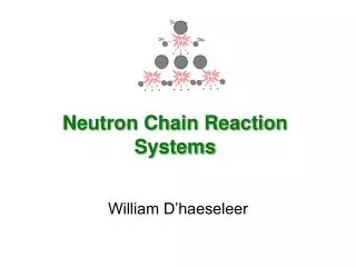Neutron Chain Reaction Systems